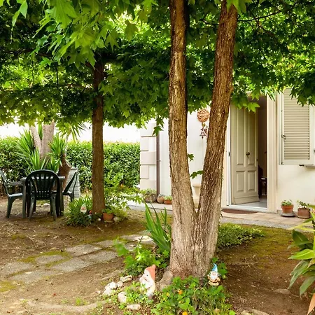 Casa Ceccardi Camaiore